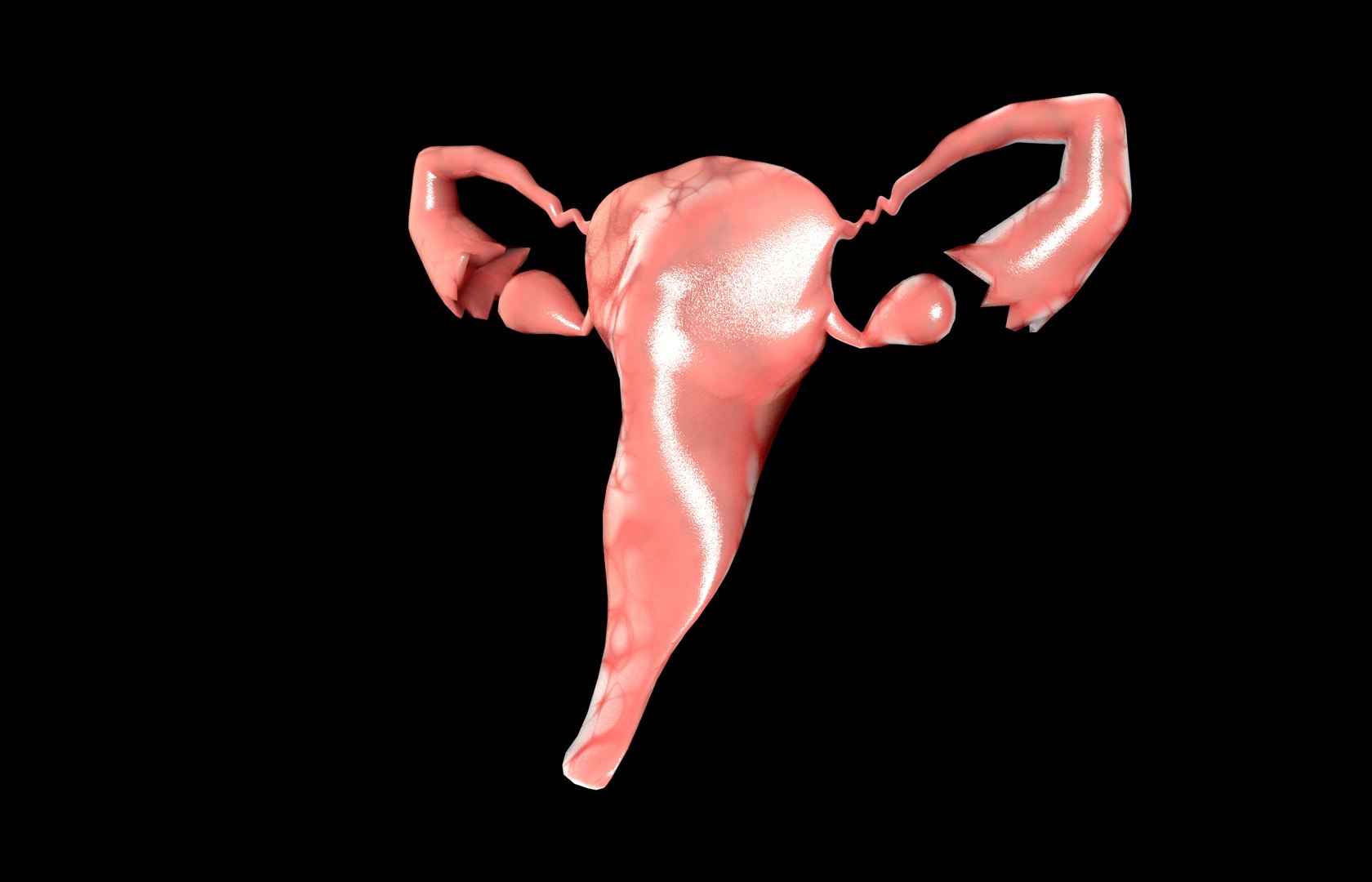 c4d uterus female anatomy reproductive https://p.turbosquid.com/ts-thumb/Qe/3RprAh/iVv5vvwk/frs0032/jpg/1376240759/1920x1080/fit_q87/331a6216837f045766a76a38922fb29013e89d64/frs0032.jpg