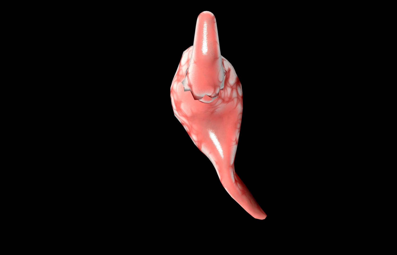 c4d uterus female anatomy reproductive https://p.turbosquid.com/ts-thumb/Qe/3RprAh/yTTMWY4R/frs0013/jpg/1376240759/1920x1080/fit_q87/f5ec6e7f58343262f2430be4595980cfd066b2ce/frs0013.jpg