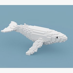 Voxel White Whale 3D