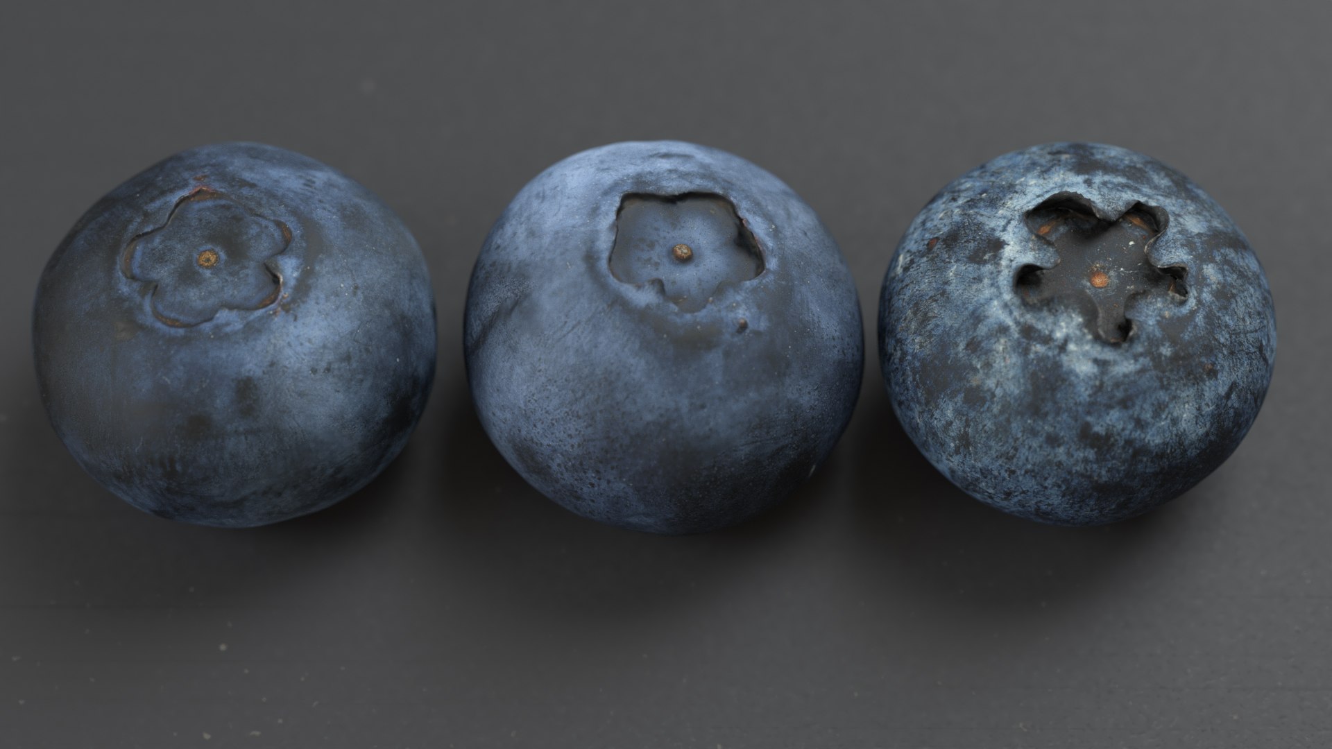 Blueberry Blue Berry 3D Model - TurboSquid 1275969