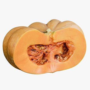 3D model realistic pumpkin clean cutted