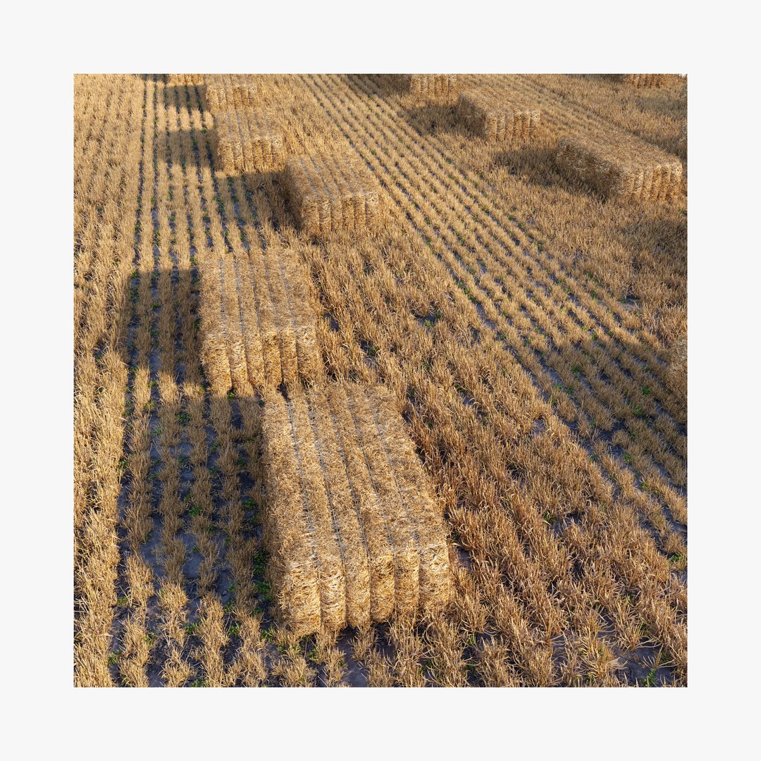 3D Farm field with hay bale 2 https://p.turbosquid.com/ts-thumb/Qe/RvP3Zm/2k/preview2ttttwdb/jpg/1663216939/1920x1080/fit_q87/2470cb99dd0faf9cb2645d80da394d37e795520f/preview2ttttwdb.jpg