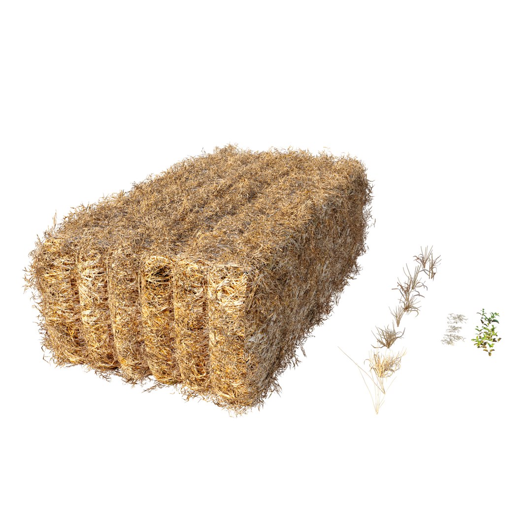 3D Farm field with hay bale 2 https://p.turbosquid.com/ts-thumb/Qe/RvP3Zm/4u/preview5wdb/jpg/1663216736/1920x1080/fit_q87/b83782299f362f9da61bdd154ff75cdc534a2174/preview5wdb.jpg
