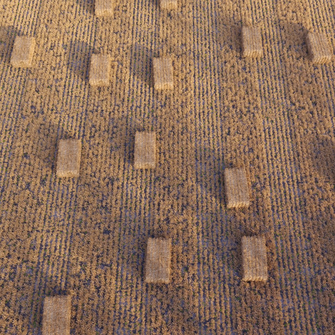 3D Farm field with hay bale 2 https://p.turbosquid.com/ts-thumb/Qe/RvP3Zm/rR/preview4wdb/jpg/1663216735/1920x1080/fit_q87/29e8b4a842831e50e16d41d2f9e175f0c302c23f/preview4wdb.jpg