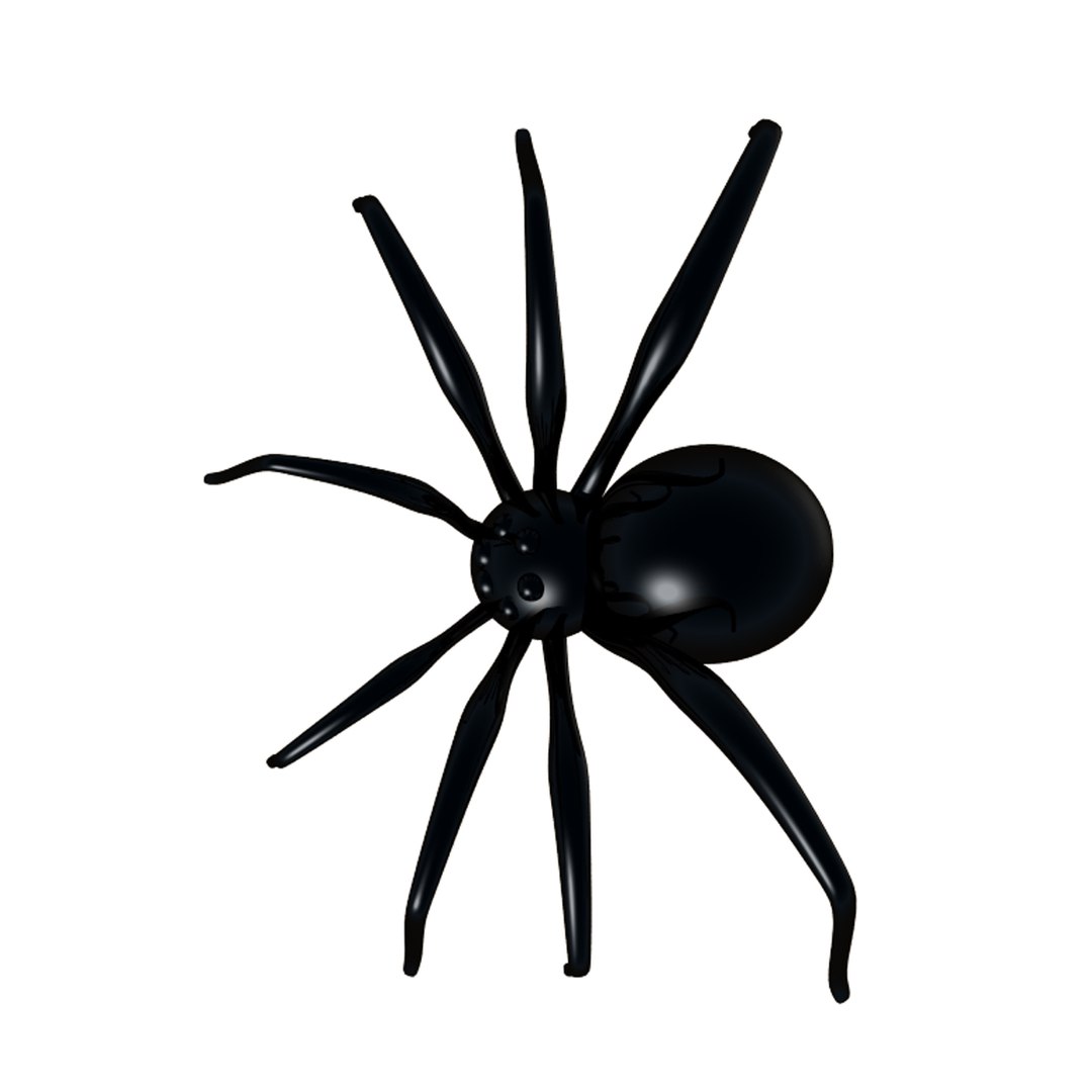 3D Spider Model - TurboSquid 584611