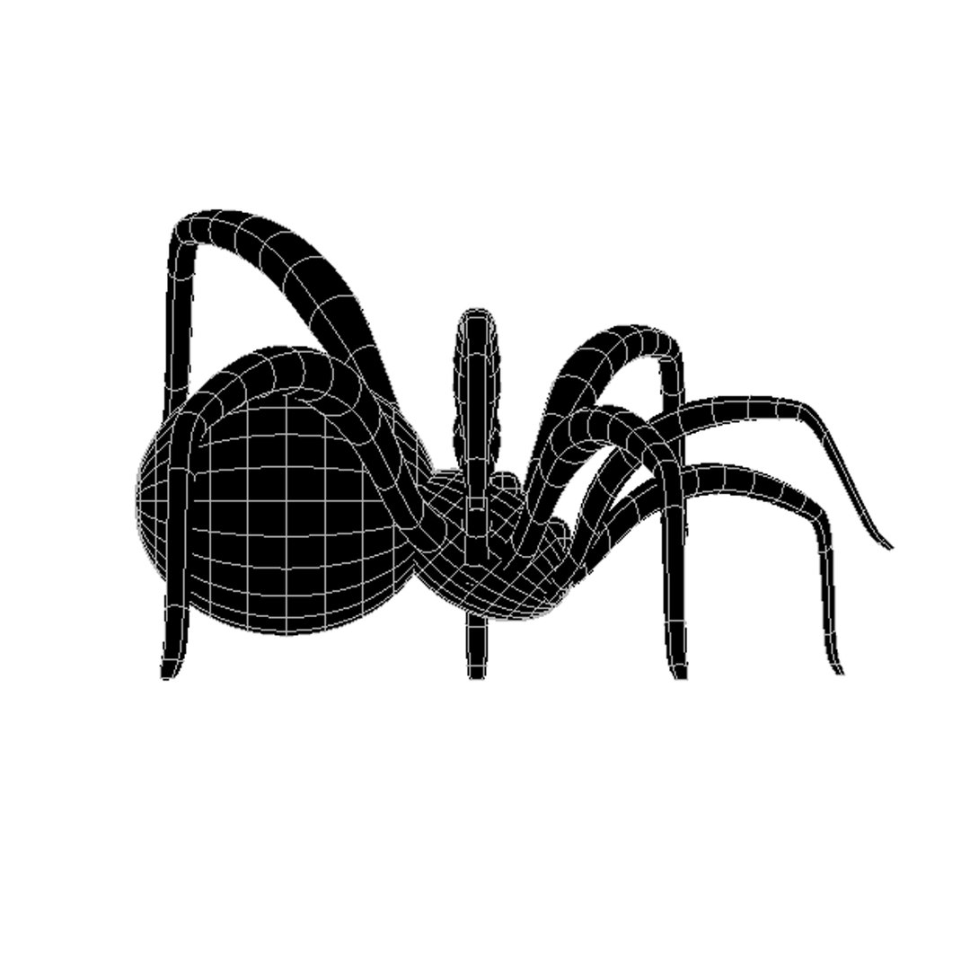 3D Spider Model - TurboSquid 584611