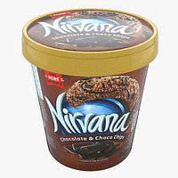 ice cream Nirvana Chocolate and Choco Chips