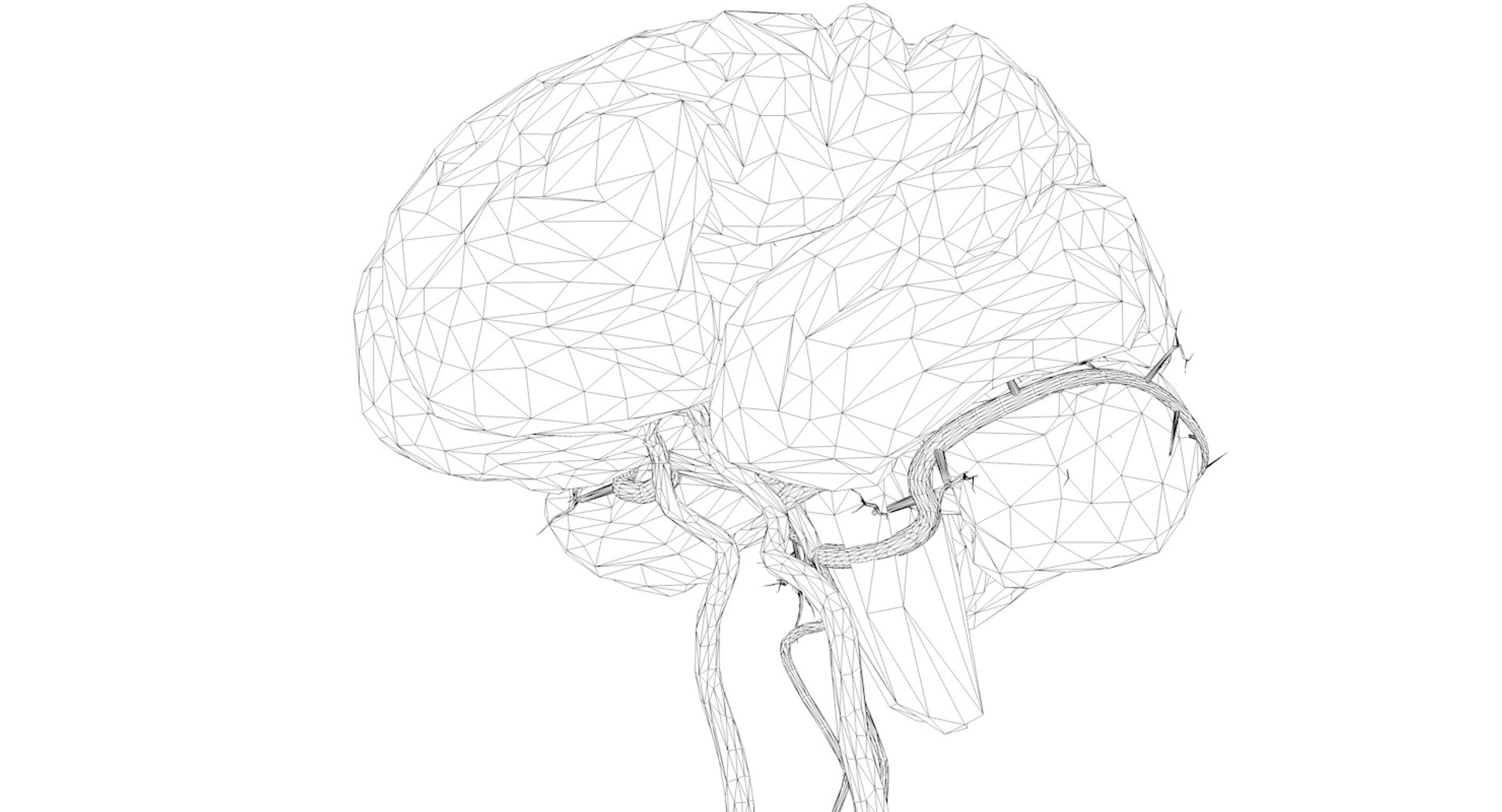 3ds max arteries brain circle willis https://p.turbosquid.com/ts-thumb/Qe/hQ8UkK/65A2qOnA/wireframe0002/jpg/1430838656/1920x1080/fit_q87/53372fccf4feec180a3387f0da0a8cf06b1eba1d/wireframe0002.jpg