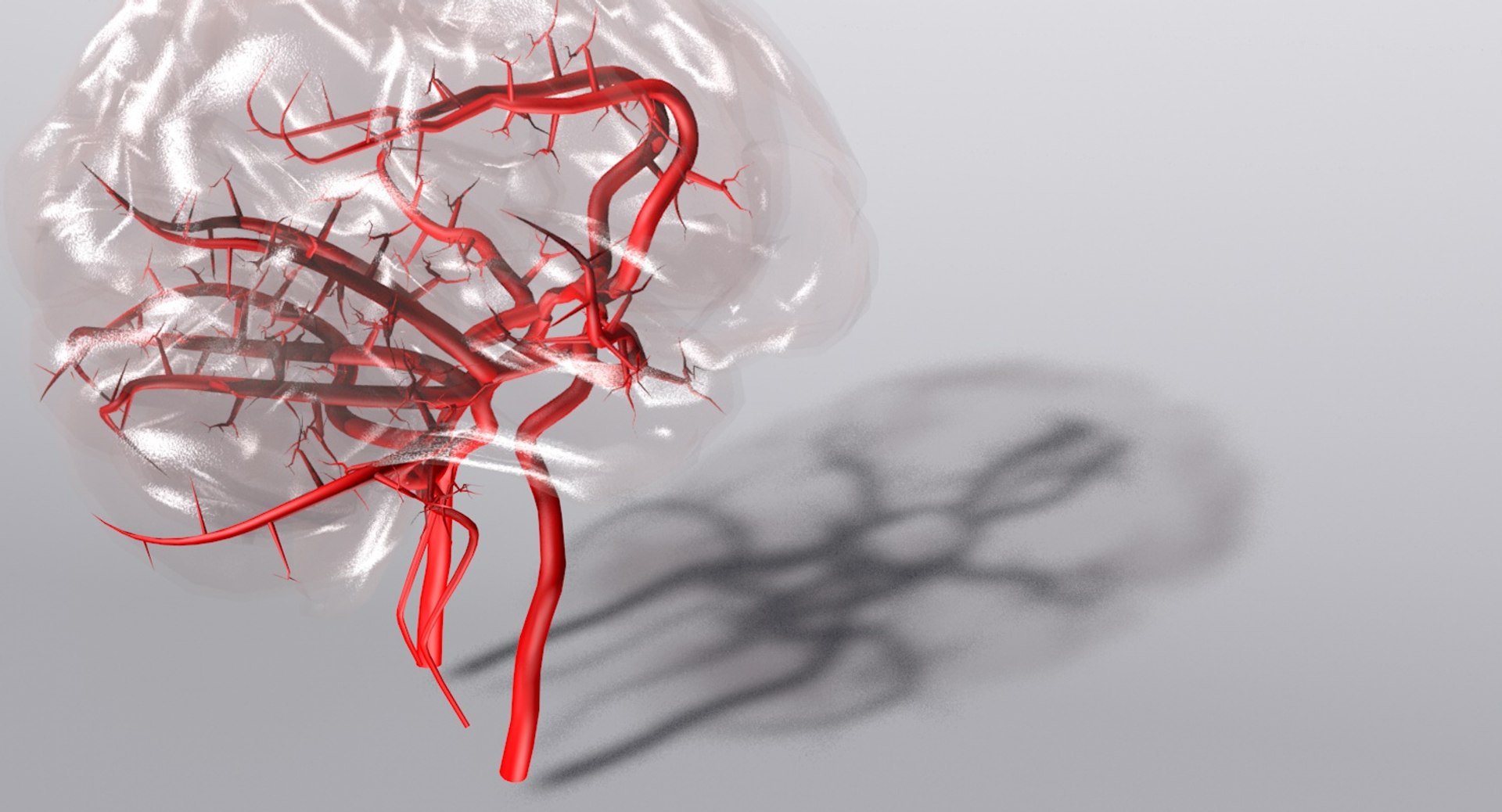 3ds max arteries brain circle willis https://p.turbosquid.com/ts-thumb/Qe/hQ8UkK/McqjqzjA/product2/jpg/1430838490/1920x1080/fit_q87/68fa7478ce07ad580ba67648cfa085684fe26e9e/product2.jpg