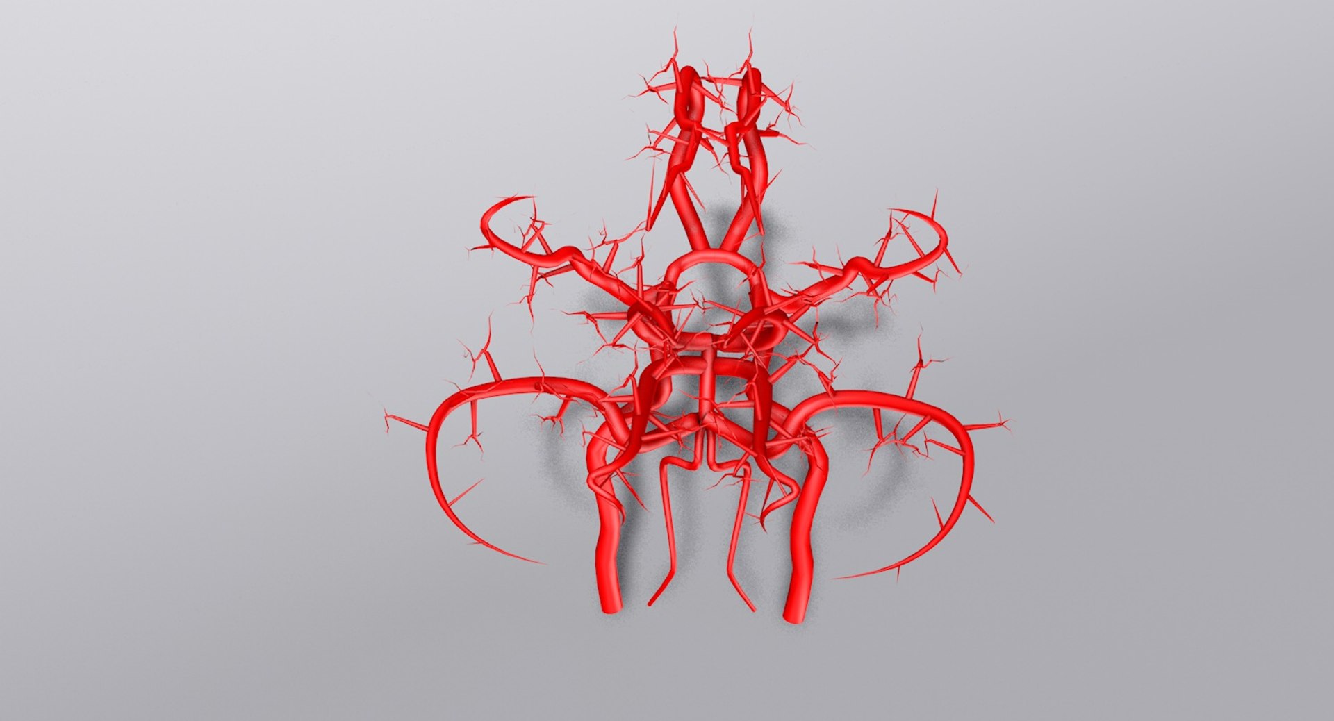 3ds max arteries brain circle willis https://p.turbosquid.com/ts-thumb/Qe/hQ8UkK/VRDbtOaV/product0001/jpg/1430838490/1920x1080/fit_q87/88f5ecb46573130b558cecd9803bdbee30f1227b/product0001.jpg