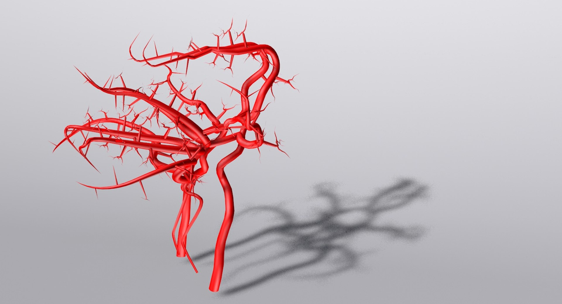 3ds max arteries brain circle willis https://p.turbosquid.com/ts-thumb/Qe/hQ8UkK/f11GydTW/product/jpg/1430838490/1920x1080/fit_q87/2e72383815ae6796b0fa55752f3b50c38409997b/product.jpg