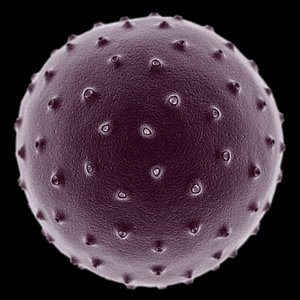 3d model mutated microscopic cell 1
