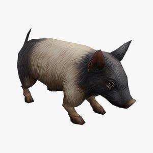 3D animated pig model