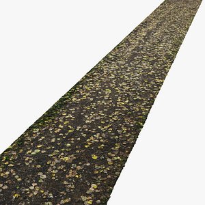 Forest autumn road N03 - 12meters 3D