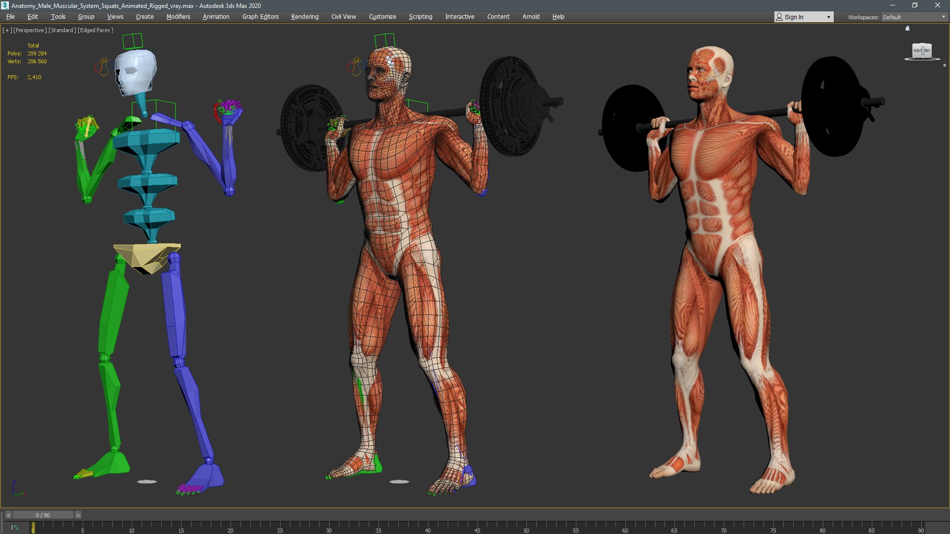 Anatomy Male Muscular System Squats Animated Rigged 3D model https://p.turbosquid.com/ts-thumb/Qf/64Nazq/5n/anatomy_male_muscular_system_squats_animated_rigged_012/jpg/1745558932/1920x1080/fit_q87/815ea70d1240be385aaf3dac2068b1f52601b5b2/anatomy_male_muscular_system_squats_animated_rigged_012.jpg