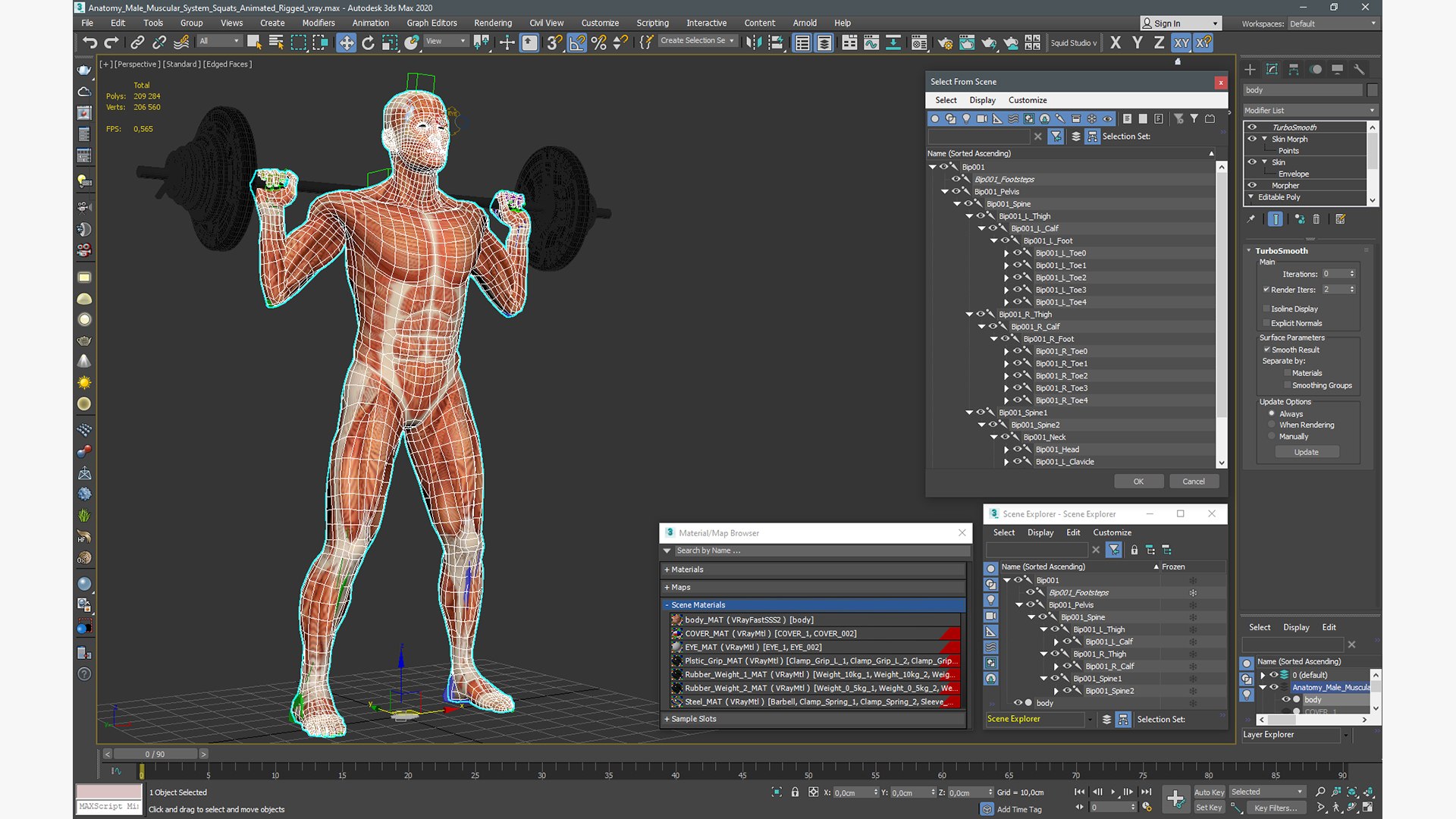 Anatomy Male Muscular System Squats Animated Rigged 3D model https://p.turbosquid.com/ts-thumb/Qf/64Nazq/9v/anatomy_male_muscular_system_squats_animated_rigged_015/jpg/1745558941/1920x1080/fit_q87/59ddb374ba7aae80cbecf37361b7da21aa222738/anatomy_male_muscular_system_squats_animated_rigged_015.jpg