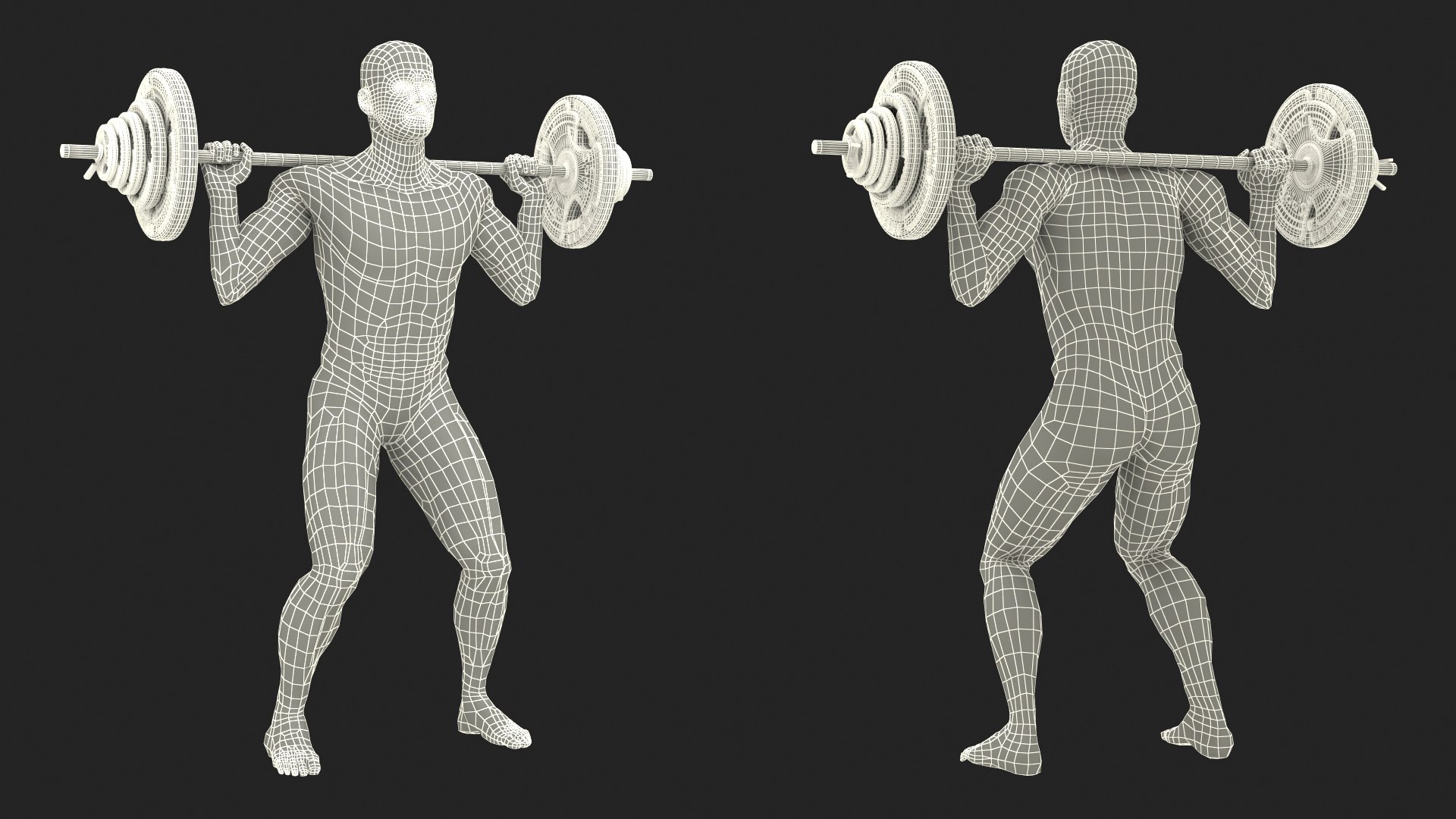 Anatomy Male Muscular System Squats Animated Rigged 3D model https://p.turbosquid.com/ts-thumb/Qf/64Nazq/PI/anatomy_male_muscular_system_squats_animated_rigged_016/jpg/1745558944/1920x1080/fit_q87/4b207ded5443db0e41091e8e4db317305f567bec/anatomy_male_muscular_system_squats_animated_rigged_016.jpg
