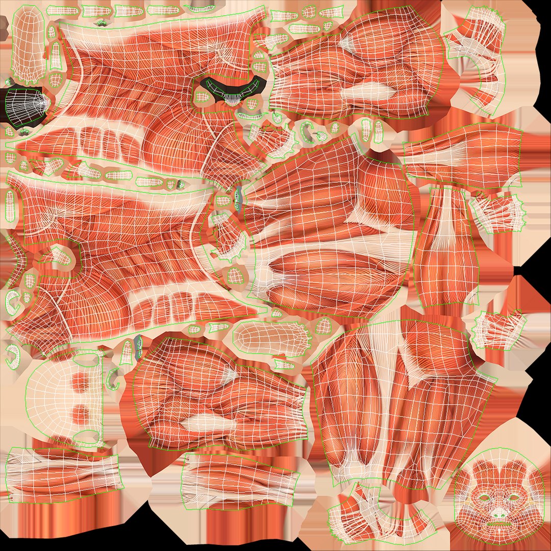 Anatomy Male Muscular System Squats Animated Rigged 3D model https://p.turbosquid.com/ts-thumb/Qf/64Nazq/QA/anatomy_male_muscular_system_squats_animated_rigged_013/jpg/1745558935/1920x1080/fit_q87/16c921729a1eb31ee1f0b909be43d8b46159be53/anatomy_male_muscular_system_squats_animated_rigged_013.jpg