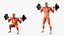 Anatomy Male Muscular System Squats Animated Rigged