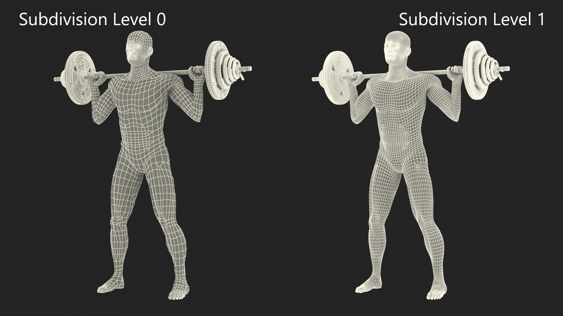 Anatomy Male Muscular System Squats Animated Rigged 3D model https://p.turbosquid.com/ts-thumb/Qf/64Nazq/yo/anatomy_male_muscular_system_squats_animated_rigged_011/jpg/1745558930/1920x1080/fit_q87/f408812033e49beada5d3410af5a31217d4160bf/anatomy_male_muscular_system_squats_animated_rigged_011.jpg