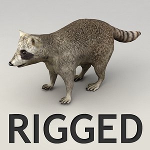 Rigged raccoon