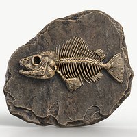 Prehistoric Fish Skeleton Fossil 027 Textured