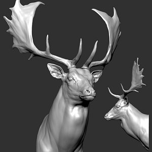 Fallow deer Buck Dama dama Head Sculpture model