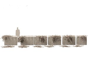 Tradescantia zebrina - Zebrina pendula 02 3D