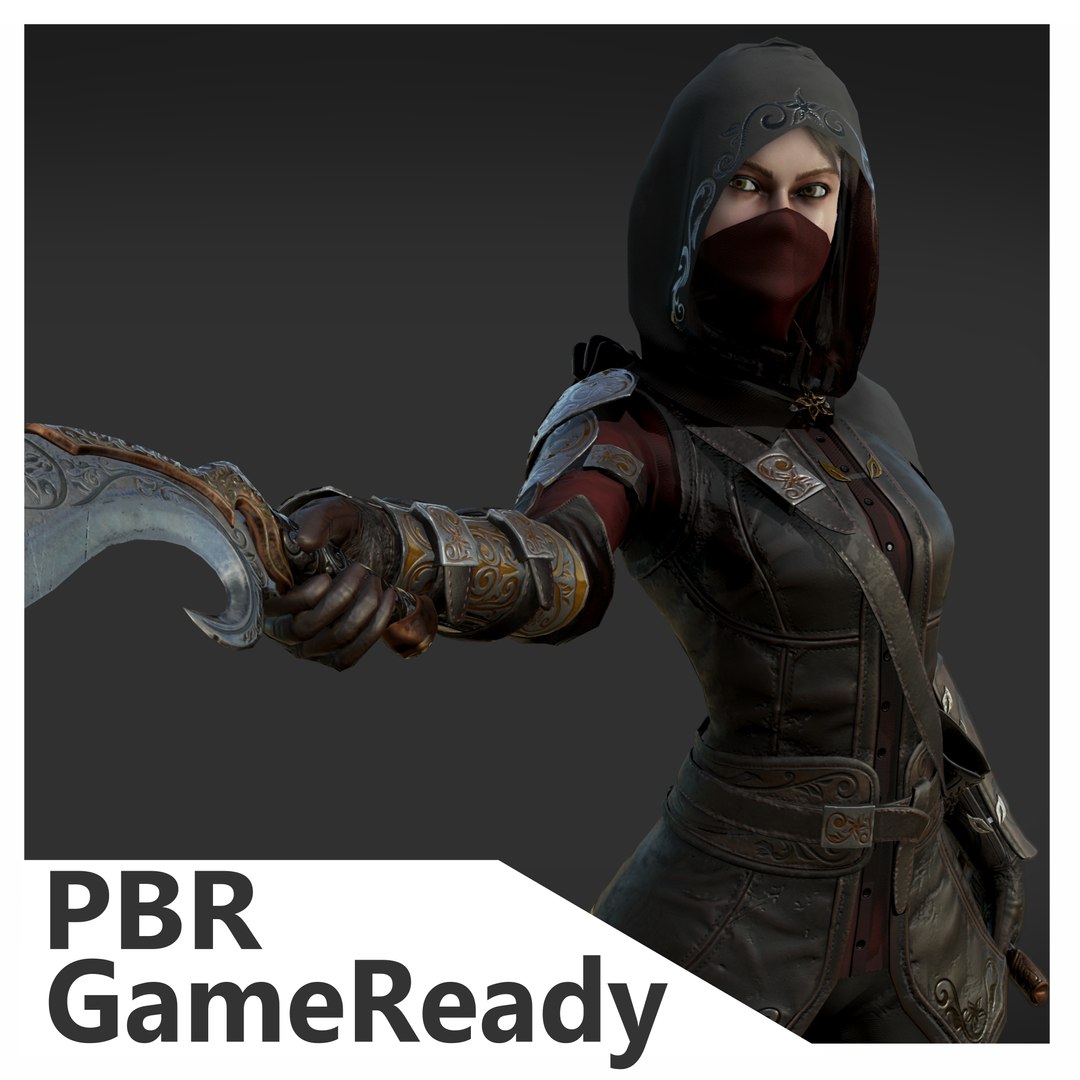 3D Assassin Model | 1146469 | TurboSquid