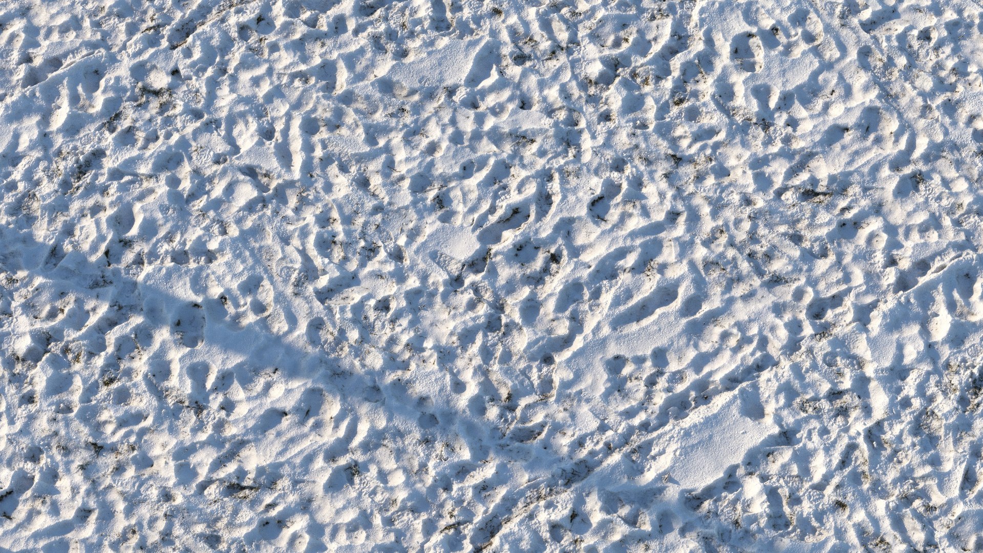 3D Grass Snow TurboSquid 1673396