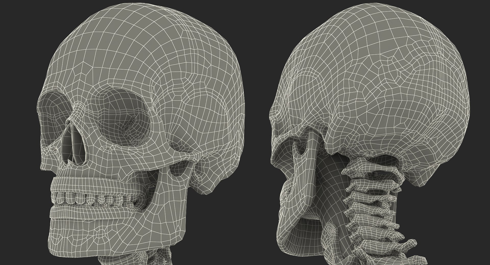 male torso skeleton respiratory 3D https://p.turbosquid.com/ts-thumb/Qf/q0sp5T/hrPPvGEk/male_torso_skeleton_with_respiratory_system_0014/jpg/1508114669/1920x1080/fit_q87/06aac47d33fcf7ab5486122971eac2256d7282e5/male_torso_skeleton_with_respiratory_system_0014.jpg