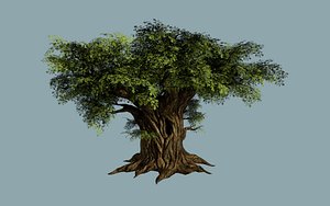 oak foliage branches 3D