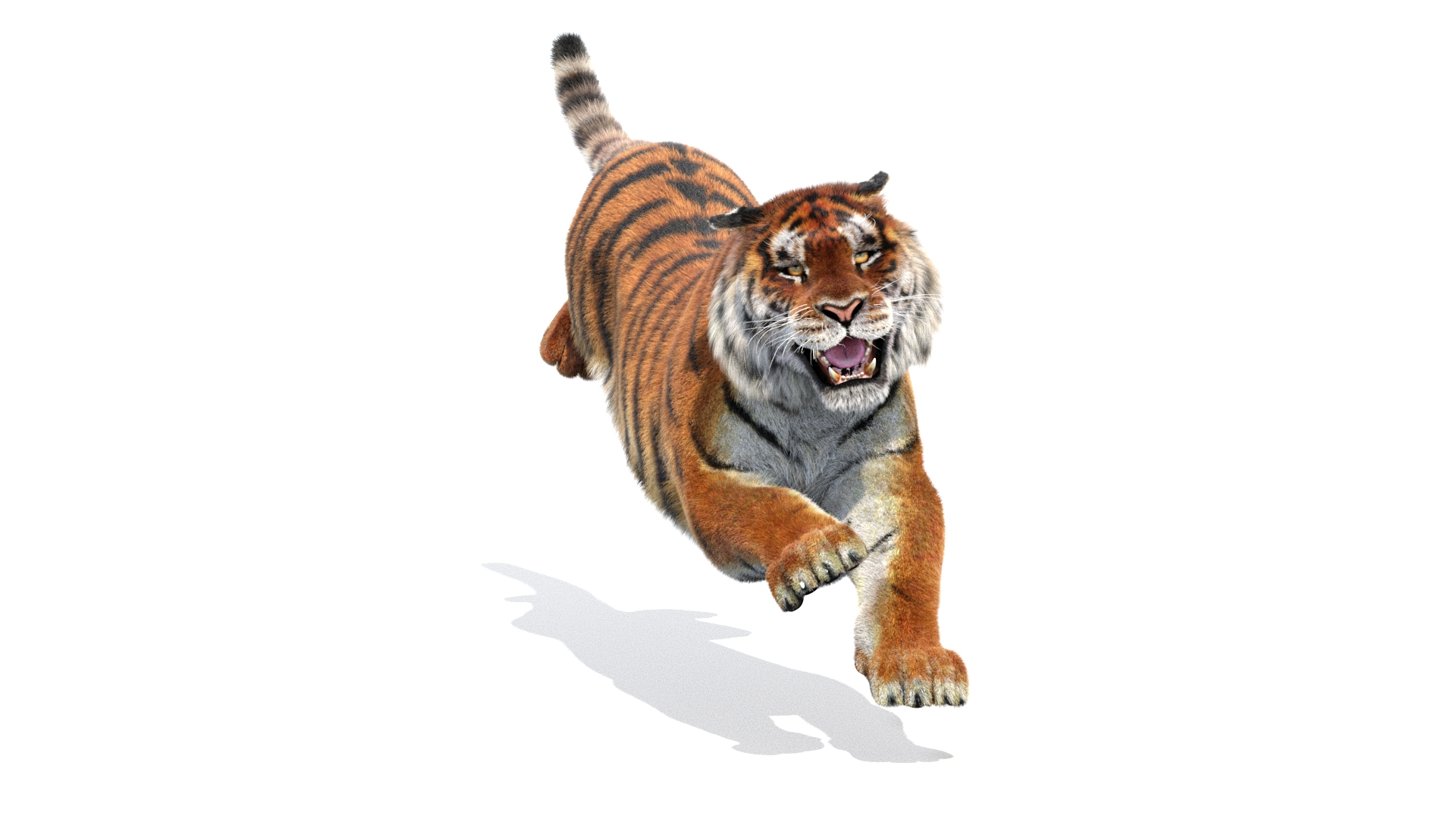 Tiger Rigged Fur Cat Max