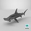 Hammerhead Shark - Static PBR