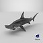 Hammerhead Shark - Static PBR