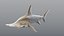 Hammerhead Shark - Static PBR
