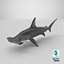 Hammerhead Shark - Static PBR