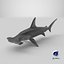 Hammerhead Shark - Static PBR