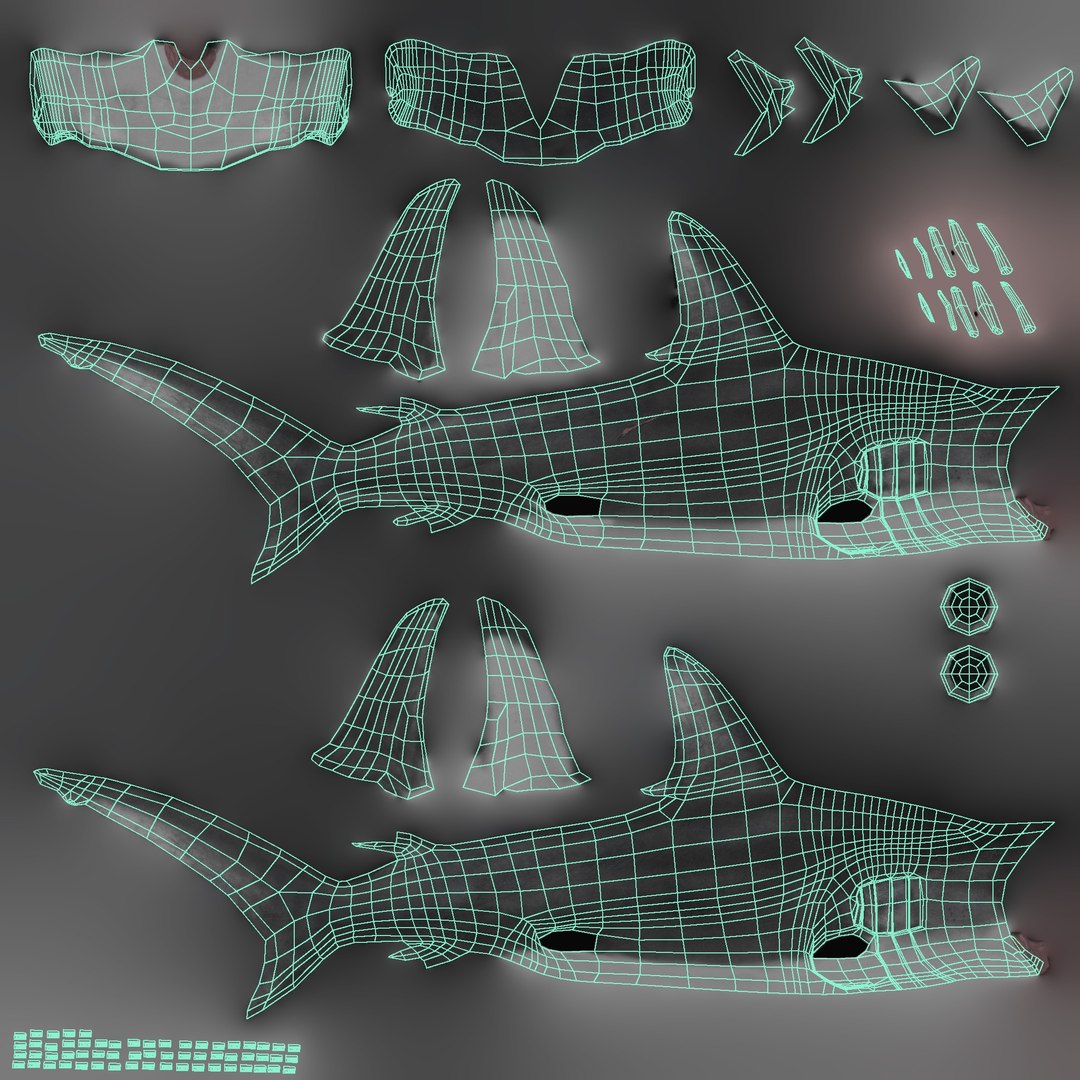 3D Hammerhead Shark - Static PBR https://p.turbosquid.com/ts-thumb/Qg/0bO8ml/ko/11_hammerheadstatic_11_uv/jpg/1791558019/1920x1080/fit_q87/d3717a4937c725d1d09a84c2701c0d057530a850/11_hammerheadstatic_11_uv.jpg