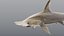 Hammerhead Shark - Static PBR