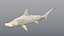 Hammerhead Shark - Static PBR