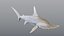 Hammerhead Shark - Static PBR