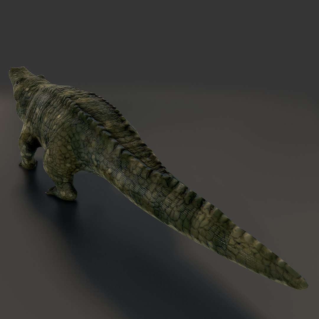 Crocodile Rig Animation 3ds