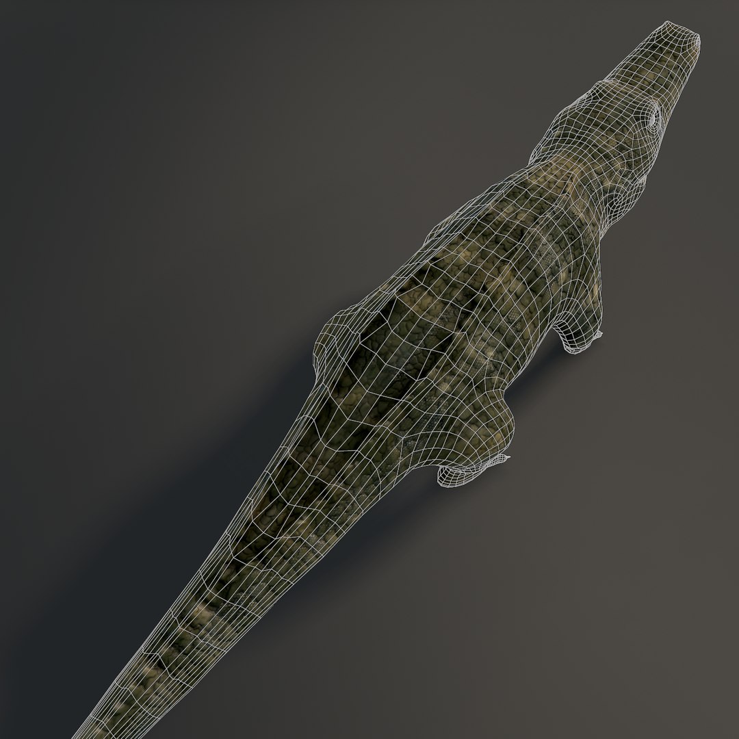 Crocodile Rig Animation 3ds