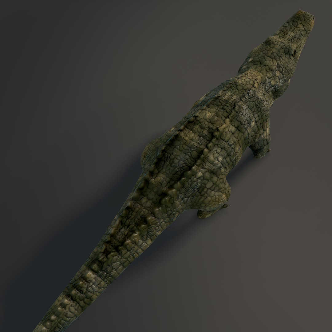 Crocodile Rig Animation 3ds