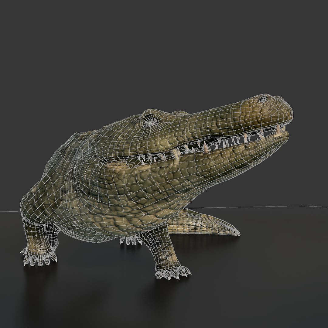 Crocodile Rig Animation 3ds