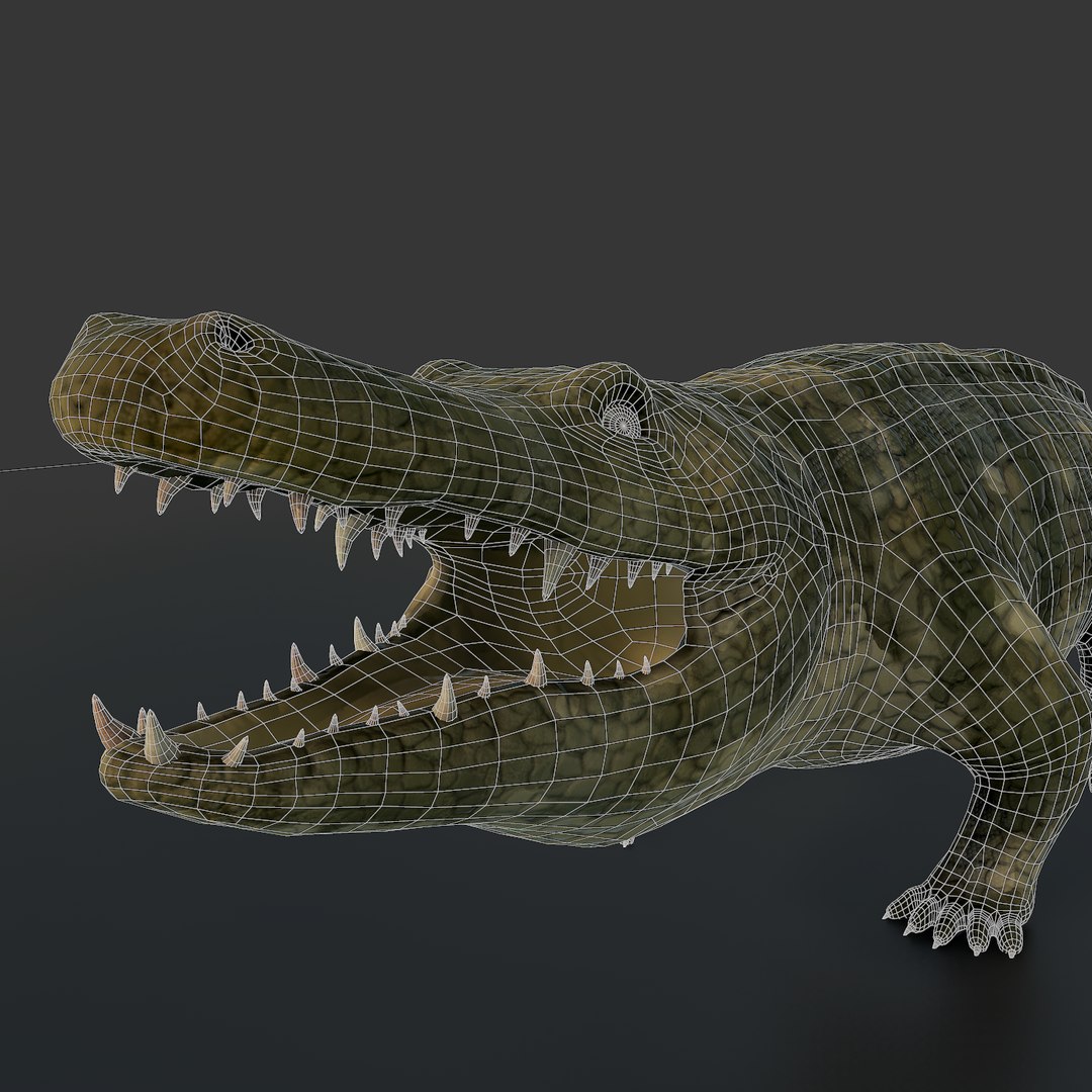 Crocodile Rig Animation 3ds