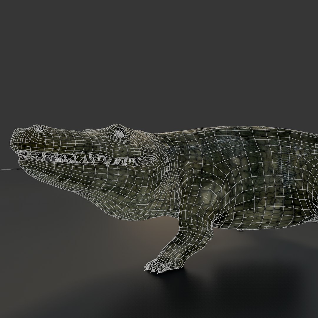 Crocodile Rig Animation 3ds