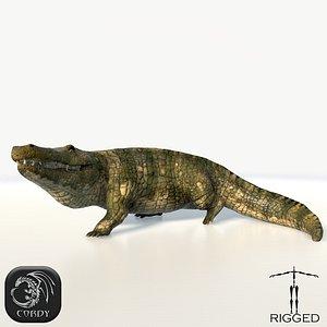 crocodile rig animation 3ds