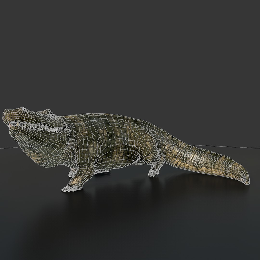 Crocodile Rig Animation 3ds
